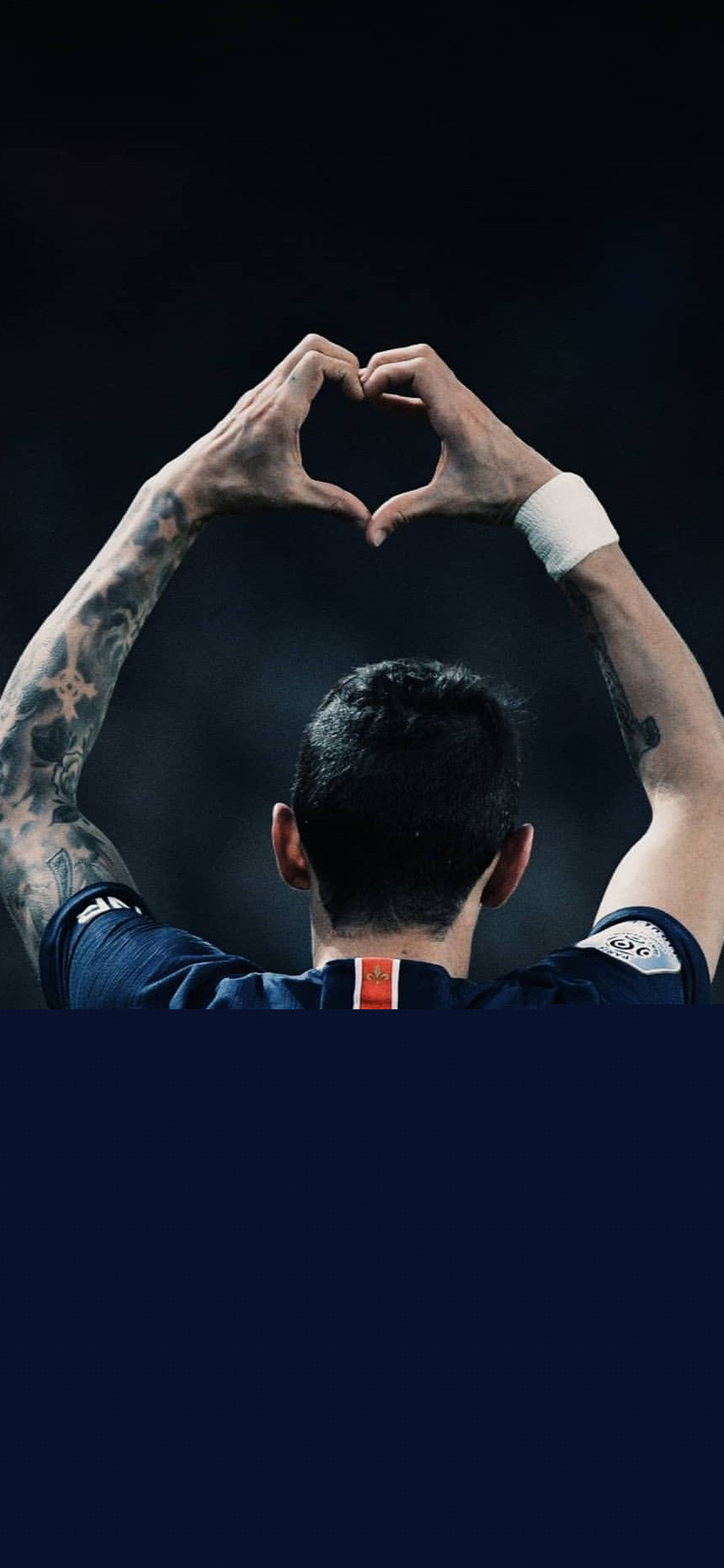 包Mylar入壳一体机